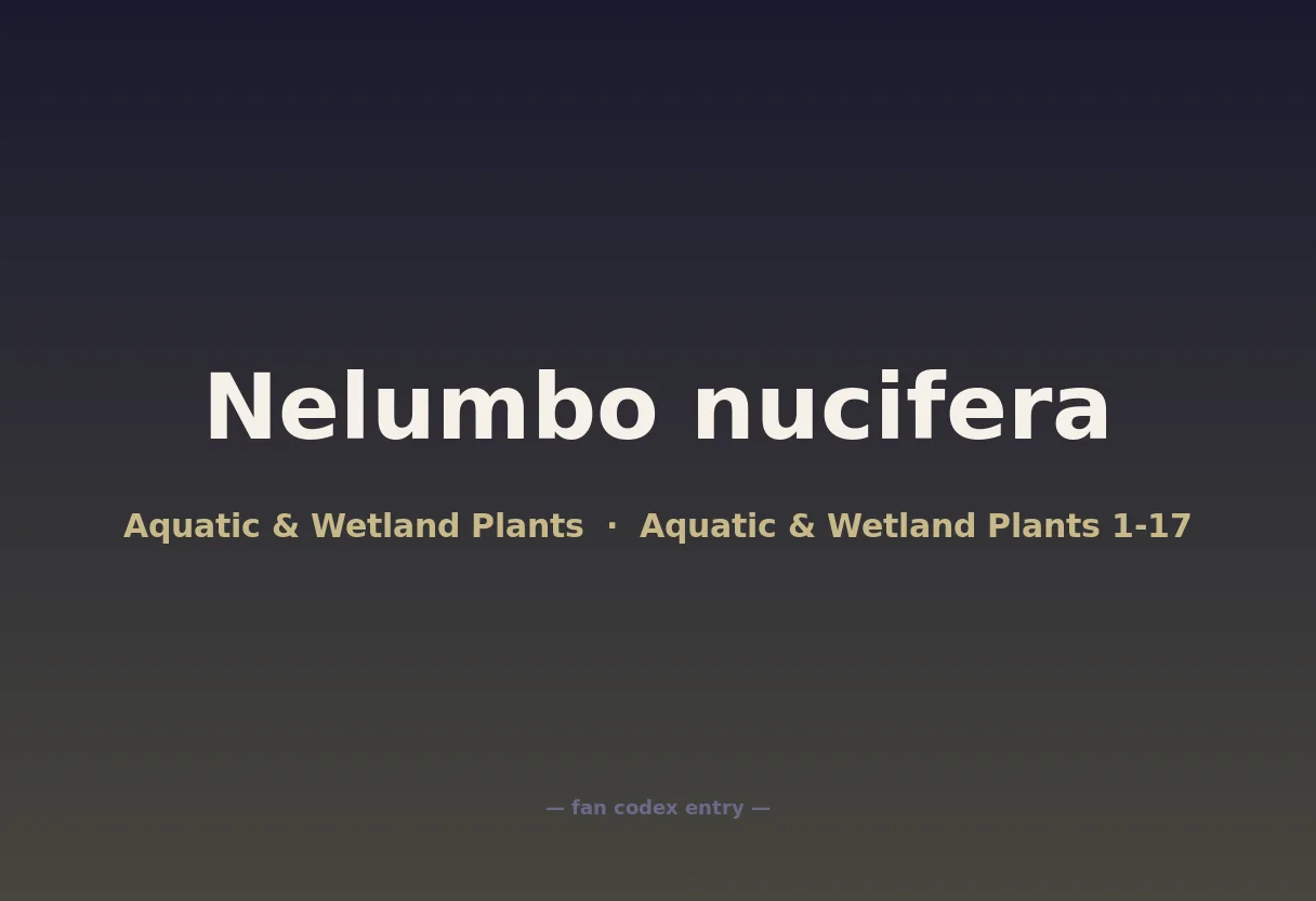 Nelumbo nucifera