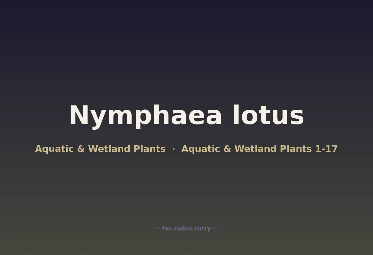 Nymphaea lotus