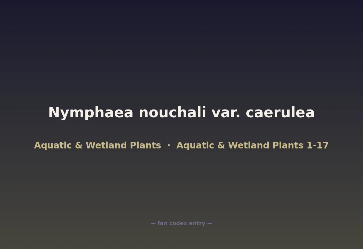 Nymphaea nouchali var. caerulea