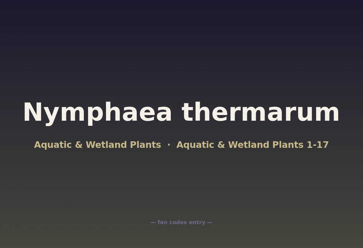 Nymphaea thermarum
