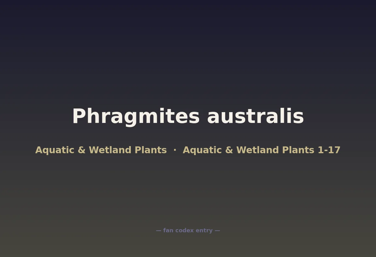 Phragmites australis