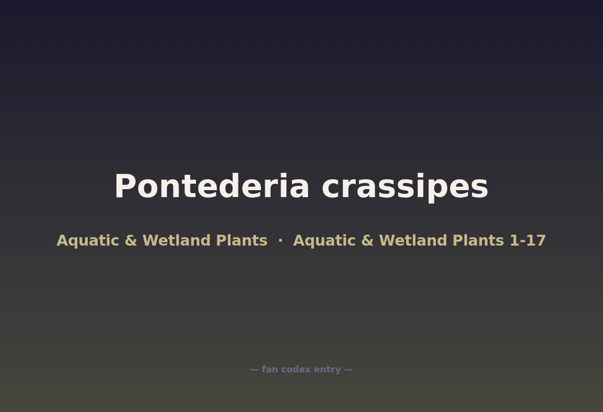 Pontederia crassipes