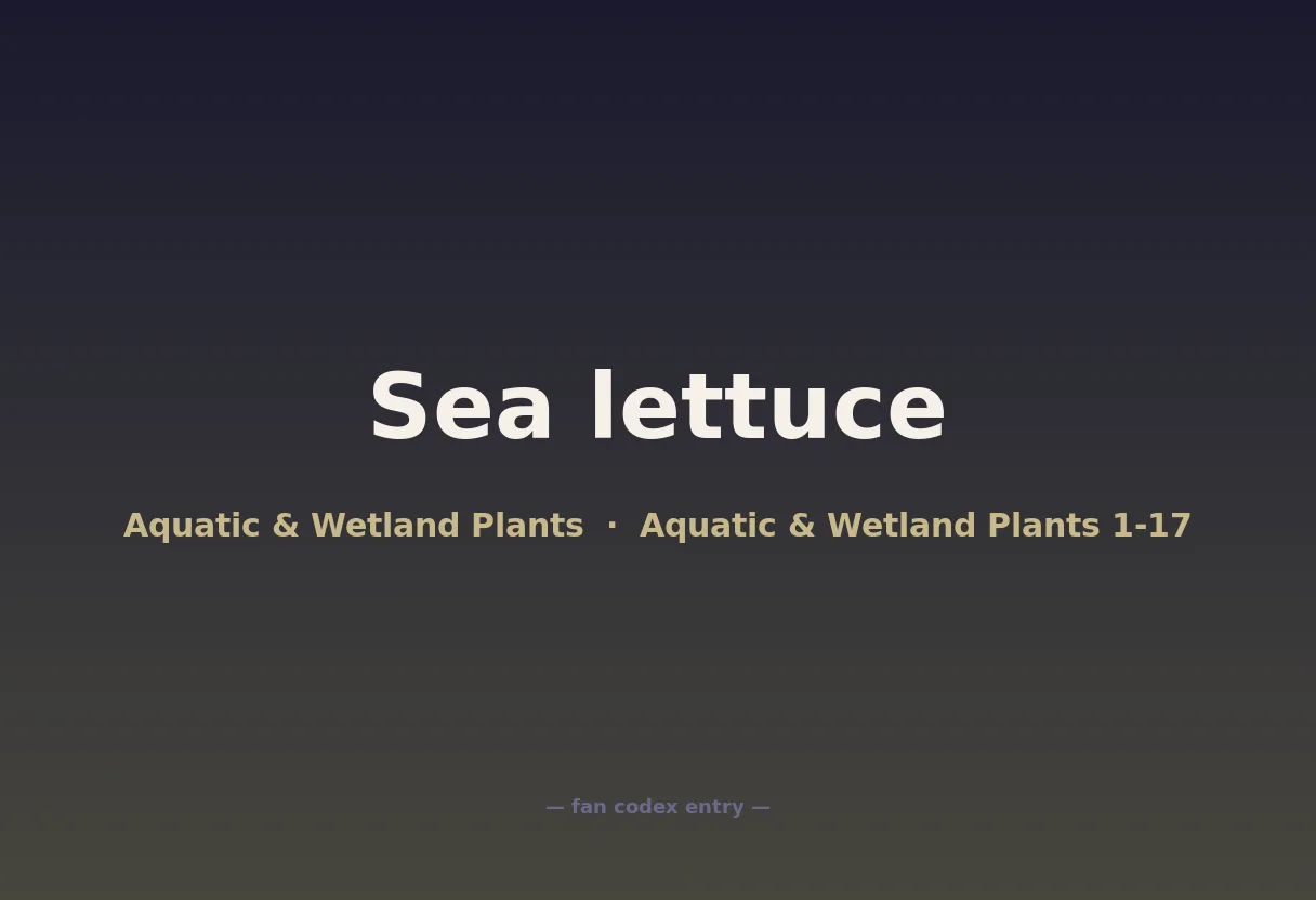 Sea lettuce